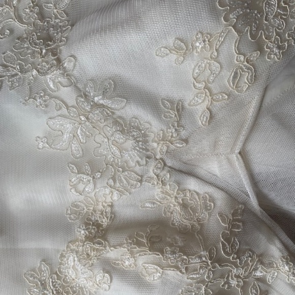 Vera Wang Wedding dress - Picture 15 of 16